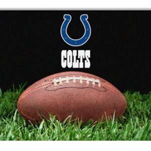 Indianapolis Colts Classic NFL Football Pet Bowl Mat - L