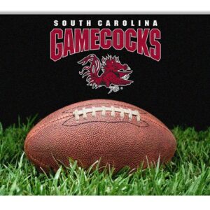 South Carolina Gamecocks Classic Football Pet Bowl Mat - L