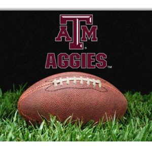 Texas A&M Aggies Classic Football Pet Bowl Mat - L
