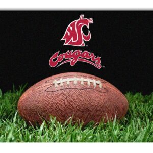 Washington State Cougars Classic  Football Pet Bowl Mat - L  CO