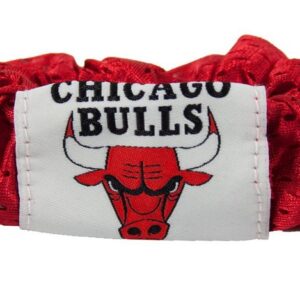 Chicago Bulls Hair Twist Ponytail Holder