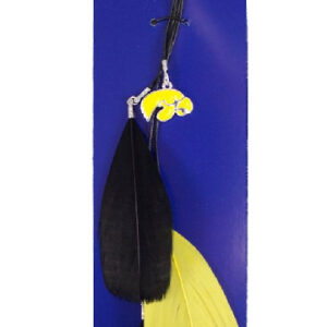 Iowa Hawkeyes Team Color Feather Hair Clip CO