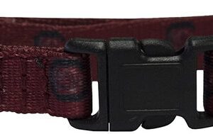 South Carolina Gamecocks Pet Collar Size S