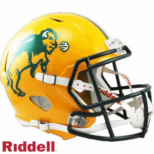 North Dakota State Bison Helmet Riddell Replica Full Size Speed Style