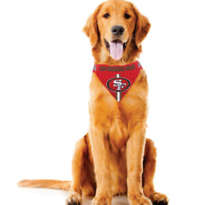 New Orleans Saints Pet Bandanna Size S