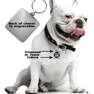 Tennessee Volunteers Pet Collar Charm