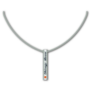 Chicago Bears Necklace Silver Bar