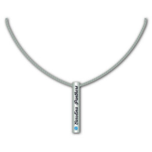 Carolina Panthers Necklace Silver Bar