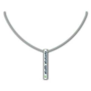 Seattle Seahawks Necklace Silver Bar