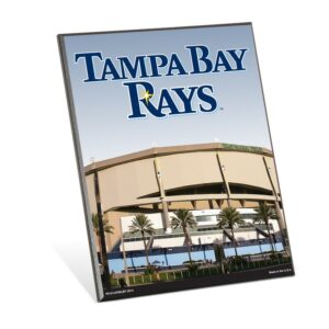 Tampa Bay Rays Sign 8x10 Wood