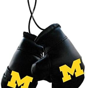 Michigan Wolverines Boxing Gloves Mini CO