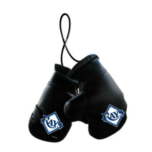 Tampa Bay Rays Boxing Gloves Mini CO