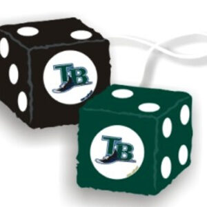 Tampa Bay Rays Fuzzy Dice CO