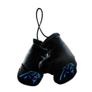 Carolina Panthers Boxing Gloves Mini CO