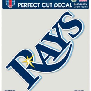 Tampa Bay Rays Decal 8x8 Perfect Cut Color