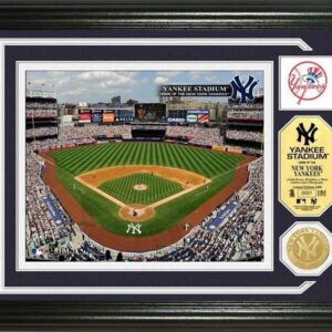 New York Yankees Single Coin Stadium Photo Mint