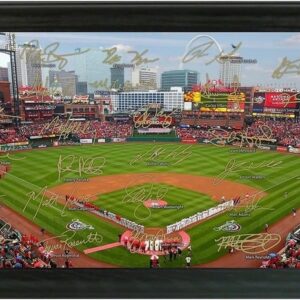 St. Louis Cardinals Framed Signature Field