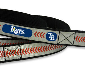 Tampa Bay Rays Reflective Baseball Leash - S