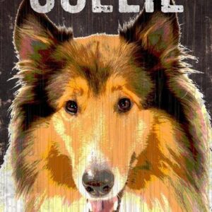 Pet Sign Wood I Love My Collie 5"x10"