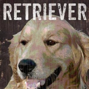 Pet Sign Wood I Love My Golden Retriever 5"x10"