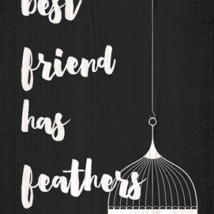 Pet Sign Wood My Best Friend Has Feathers 5"x10"