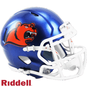 Coast Guard Bears Helmet Riddell Replica Mini Speed Style