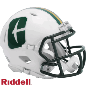 North Carolina Charlotte 49ers Helmet Riddell Replica Mini Speed Style