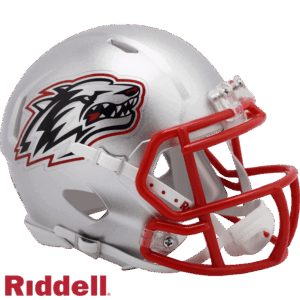 New Mexico Lobos Helmet Riddell Replica Mini Speed Style Silver
