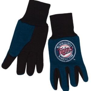 Minnesota Twins Two Tone Gloves - Youth Size