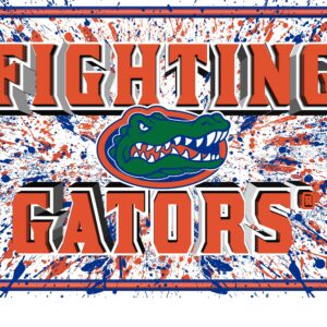 Florida Gators 3D Art Print 12x16 Splatter