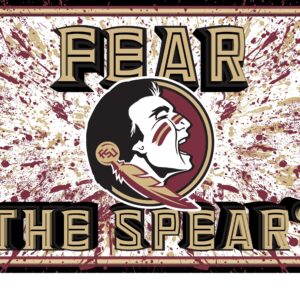 Florida State Seminoles 3D Art Print 12x16 Splatter