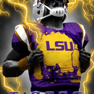 LSU Tigers 3D Art Print 12x16 Super Player