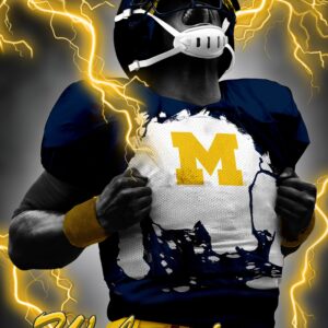 Michigan Wolverines 3D Art Print 12x16 Super Player