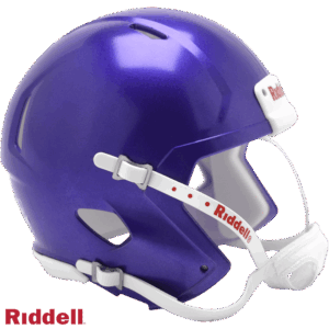 Helmet Riddell Blank Replica Mini Speed Style Purple Metallic