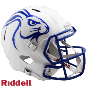 South Dakota State Jackrabbits Helmet Riddell Replica Full Size Speed Style