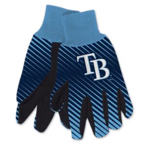 Tampa Bay Rays Gloves Two Tone Style Adult Size